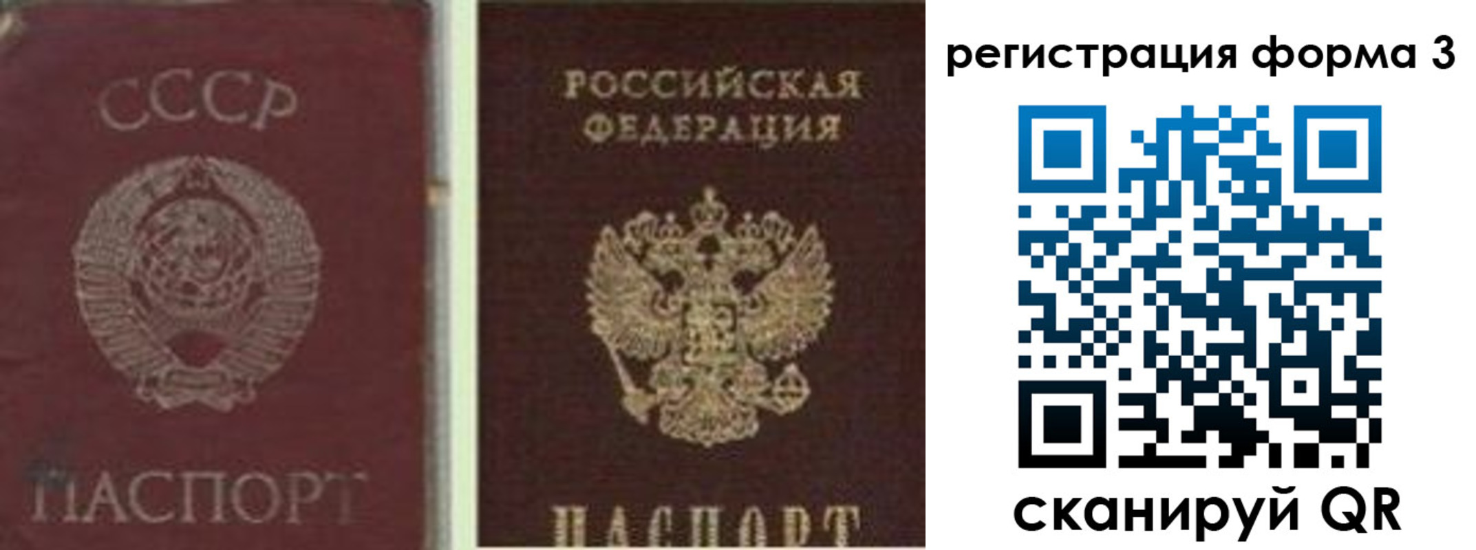 прописка для школы в Вольске